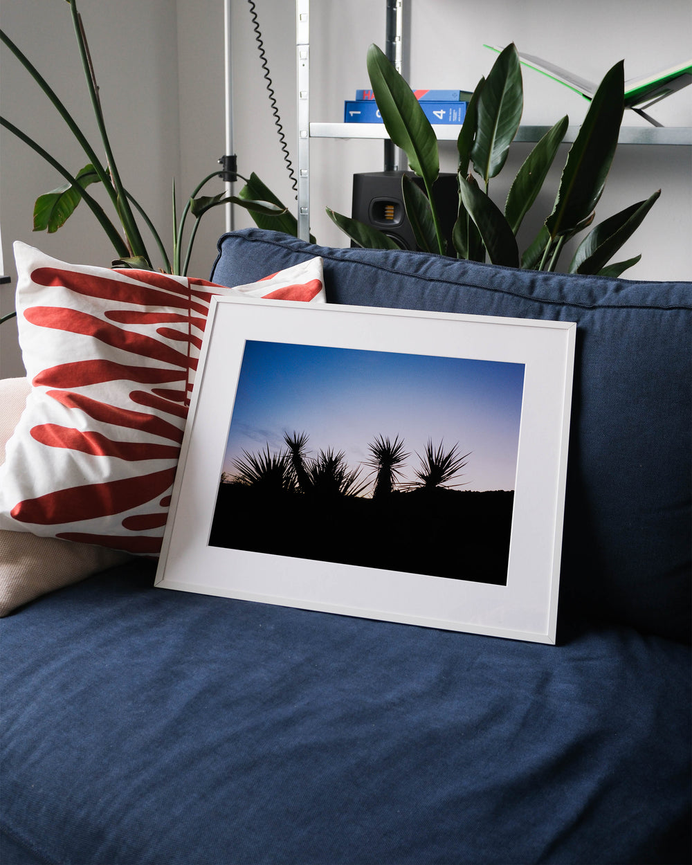 Framed analog photo print on Fujifilm paper featuring the silhouettes of Yucca brevifolias in Joshua Tree at sunset, displayed on a blue couch with a minimalist interior setting.