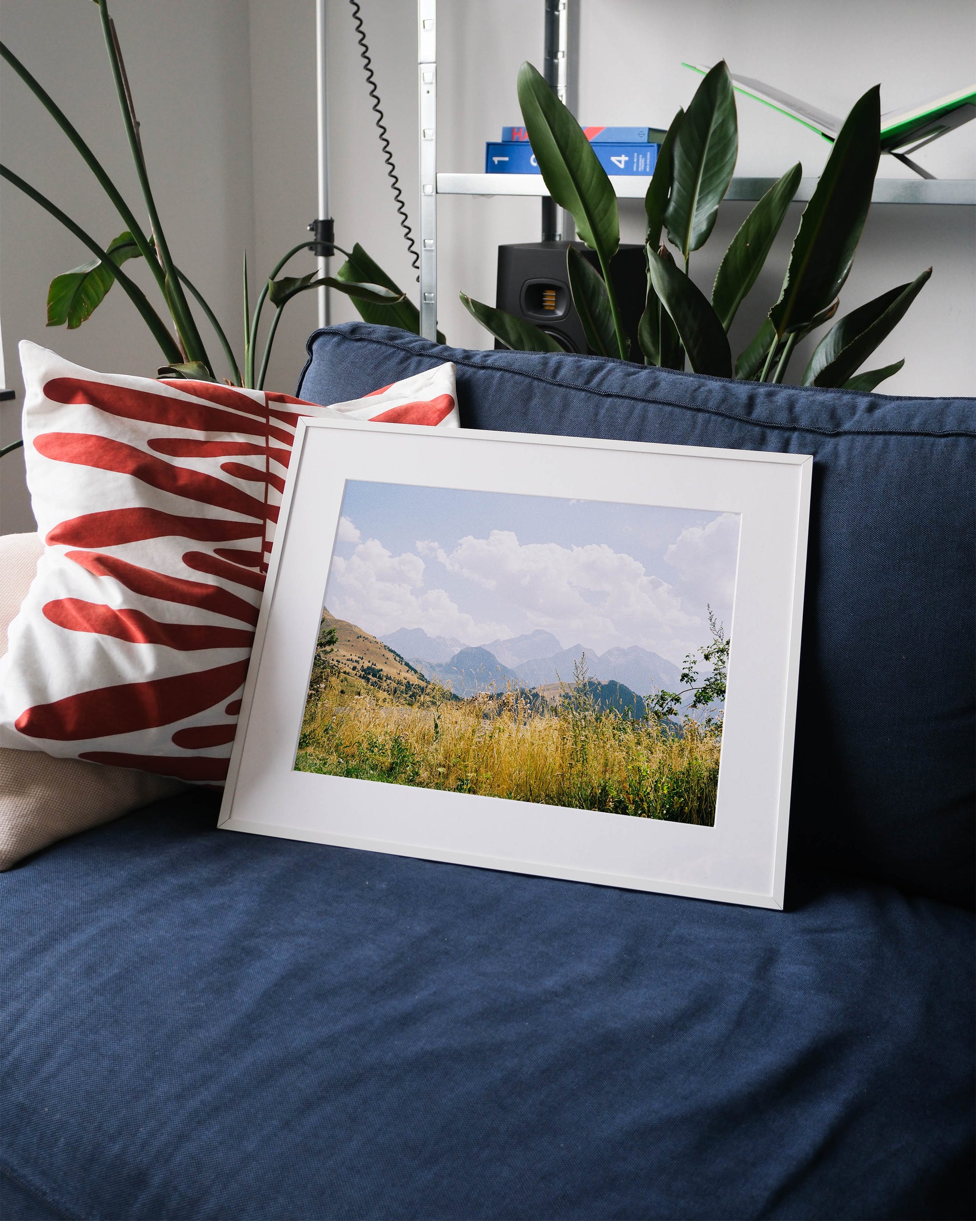 Golden Meadows of Alpe d’Huez Photo Print