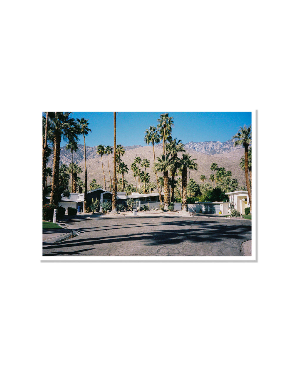 Midcentury Suburb