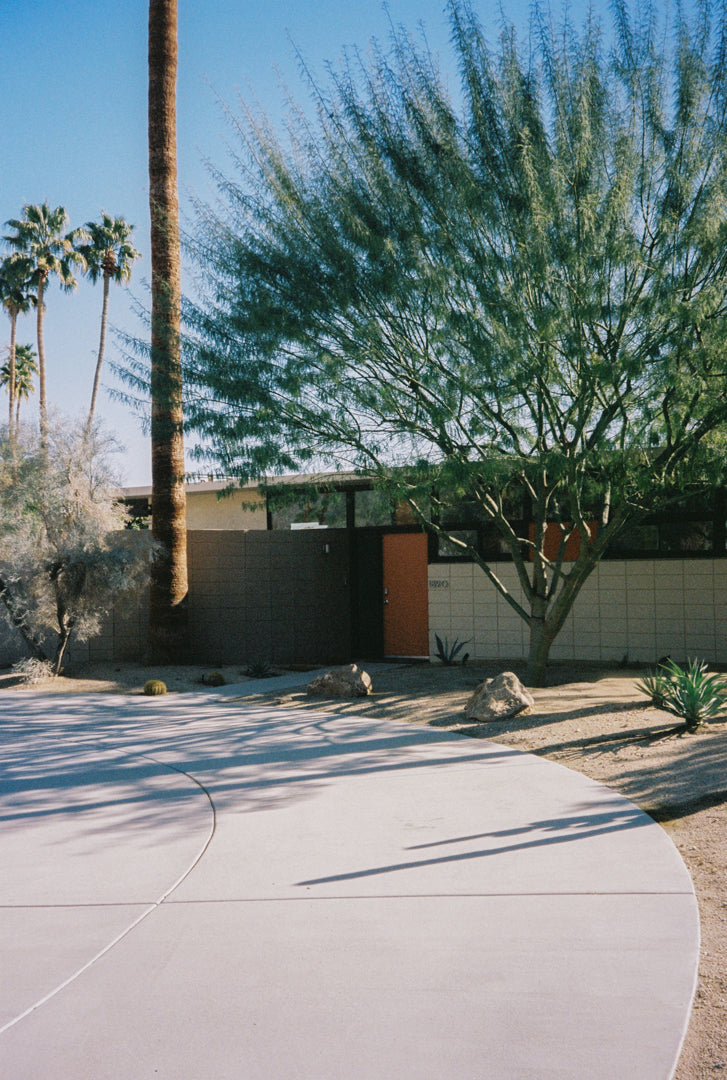 Analog photo print on Fujifilm paper featuring a tree in Palm Springs,  positioned in front of a midcentury modern home.