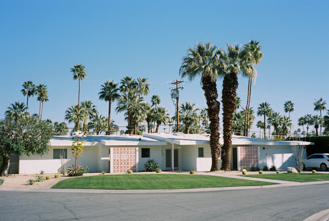 Analog photo print on Fujifilm paper featuring a midcentury modern home in Palm Springs, framed by tall palm trees under a bright, sunlit sky.