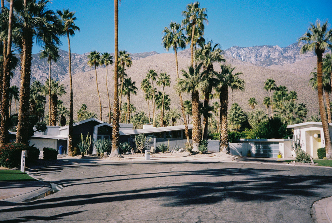 Analog photo print on Fujifilm paper featuring a road with midcentury modern homes in Palm Springs, framed by tall palm trees under a bright, sunlit sky.