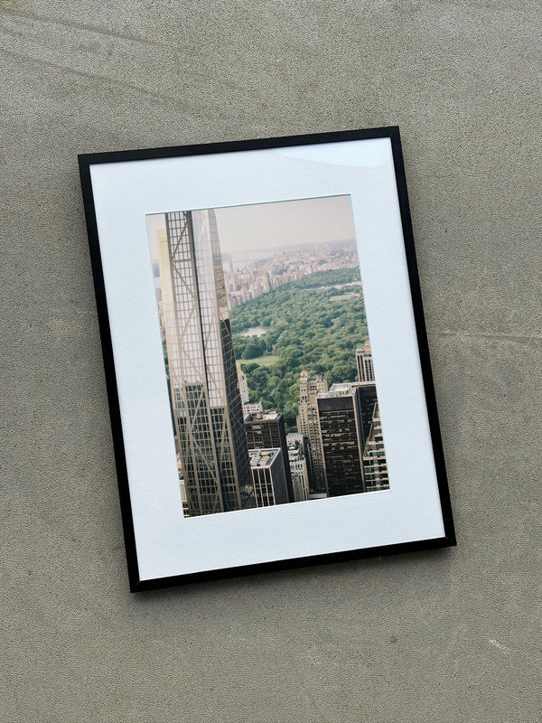 Central Park view