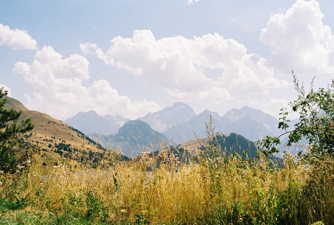 Golden Meadows of Alpe d’Huez Photo Print